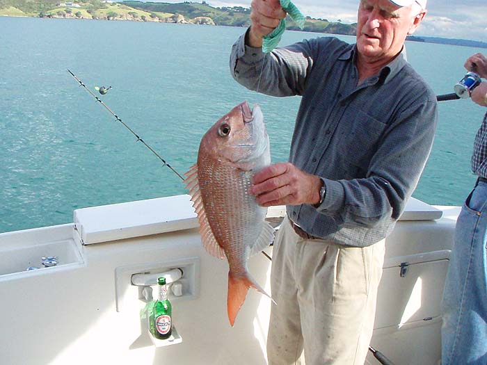 Obviously not far from the shore.