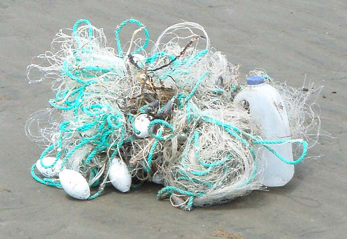 I don't think I'd have fancied untangling that.