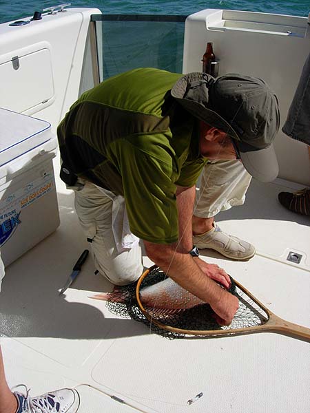 It's the same fiddly job wherever you are in the world.