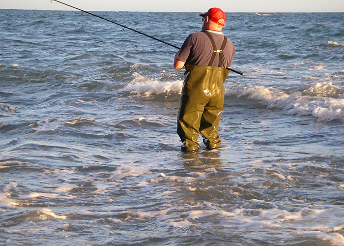 My pal Nigel dangling a mackerel fillet on a circle hook about five metres out in half a metre of water.