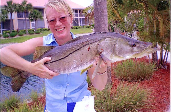 Not bad for ten pound braid and a bit of frozen shrimp.  I expect if I tried it the result would be a two ounce snapper.
