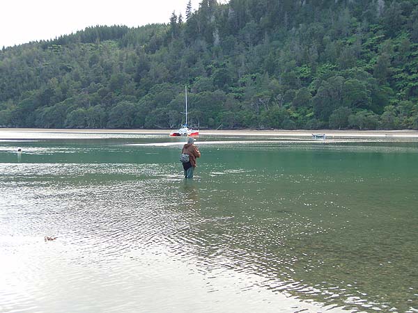 he obviously finds that the water supports his damaged cruciate ligaments.