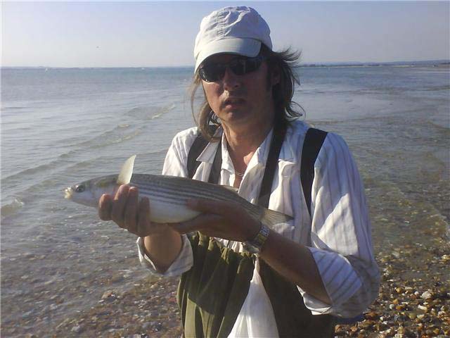 They are lovely fish aren't they?