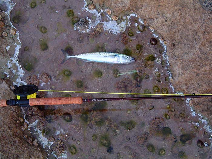 Not only exciting sport on fly gear but also a wonderful breakfast.