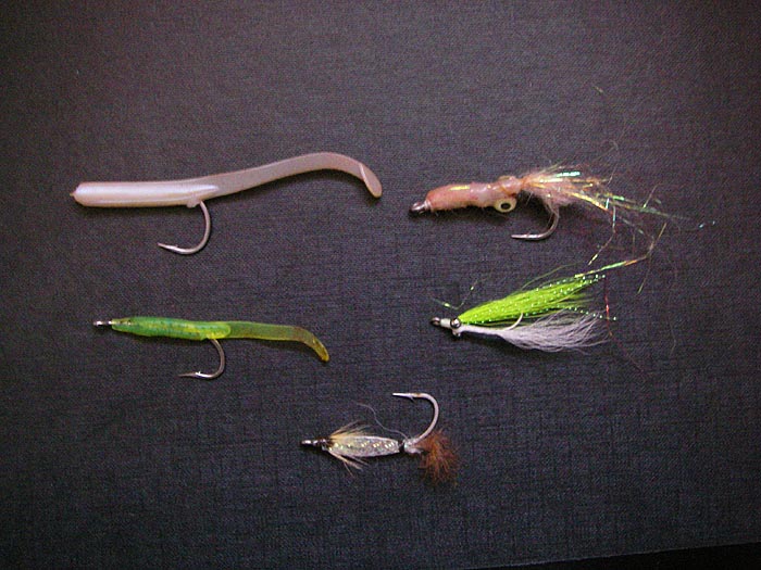 Imitation waggy eels, squid, and fry to my eye but again I think movement is the secret of success.