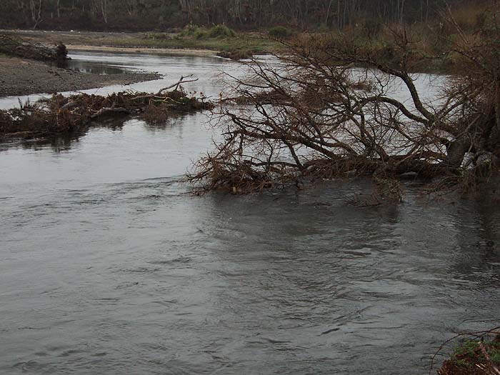 Exactly the sort of snags I like but I can see how they might cause a few problems in landing a double figure trout on fly gear.