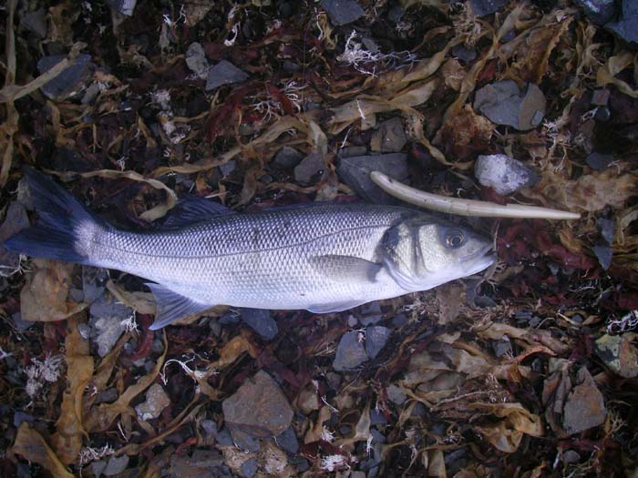 Nothing totally dodges the weed but these are pretty good.