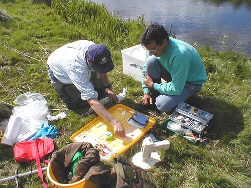 All this kit is needed just to put a little tracking device on a fish.