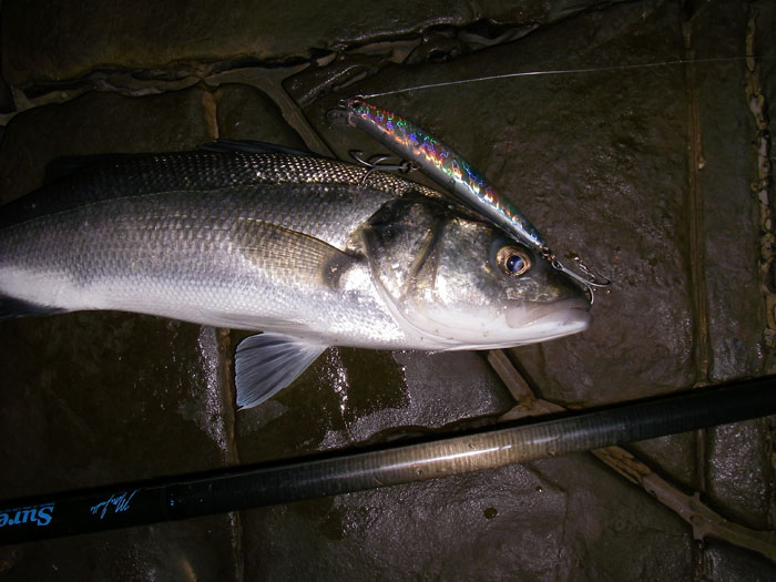 A modern long-casting, shallow-diving alternative.  Note the simple loop-knot attachment.