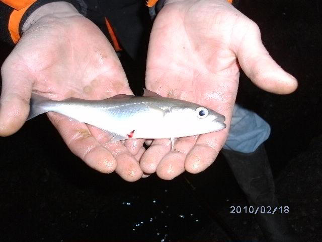 Another guest at the feast.