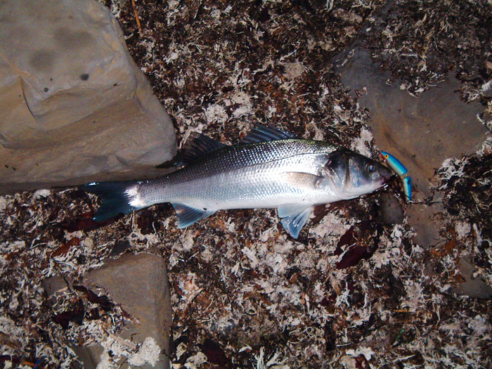 Even on a 'Two hooked' lure like this Rapala the spare treble can cause problems.