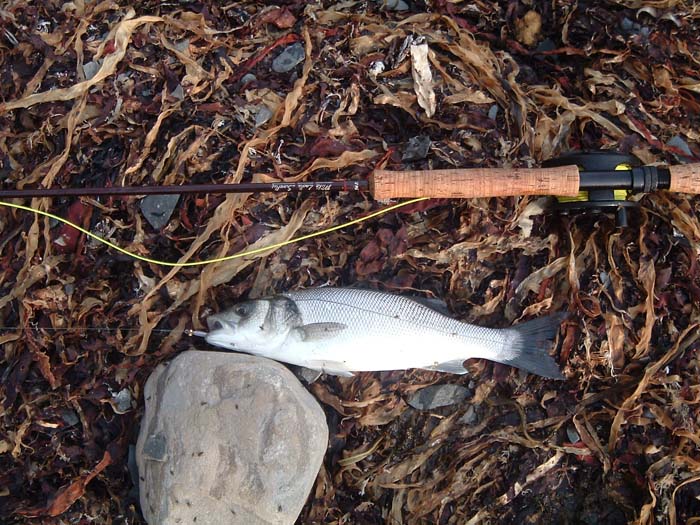 There's no doubt that bass caught on a single hooked fly are easy to deal with.