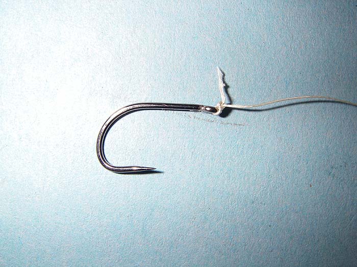 My barbless carp hook tied direct to braid.