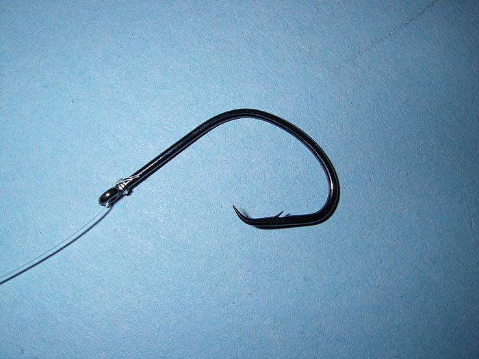 Circle hook to nylon for use with live or deadbait.