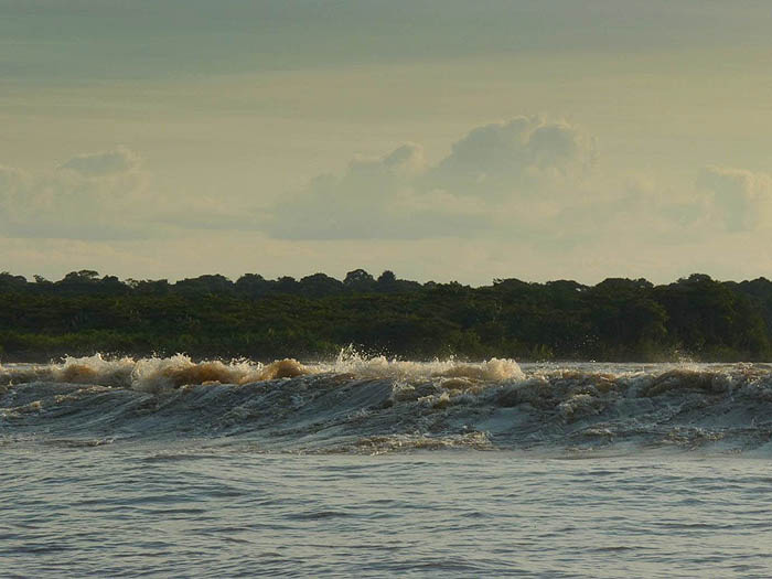 I can see why Steve had a bruised backside.