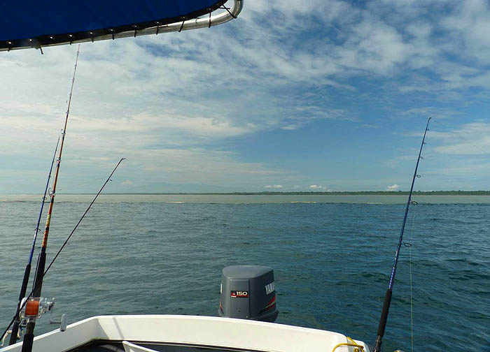 The distinction between clear and murky water is quite obvious.