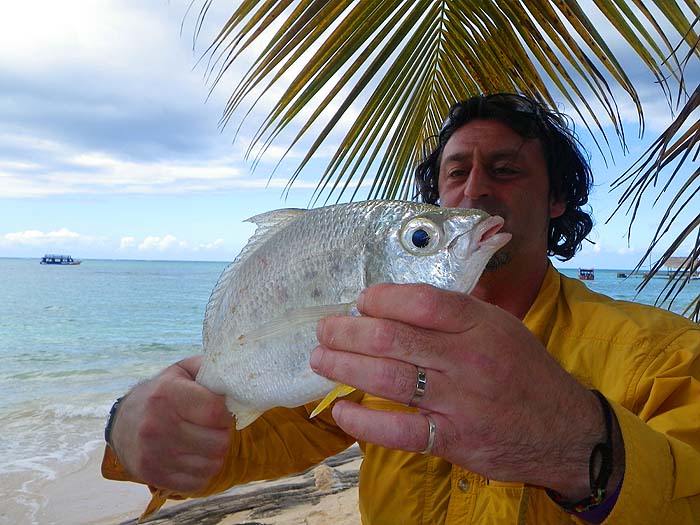 This one's a decent specimen of its kind.