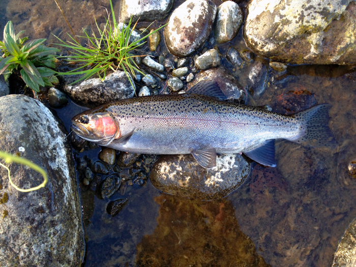 -- and an excellent start.