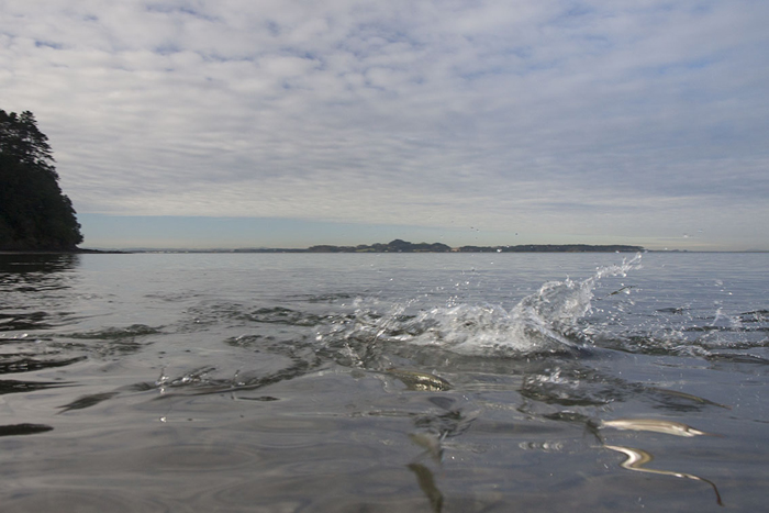 This is what every lure angler dreams about.