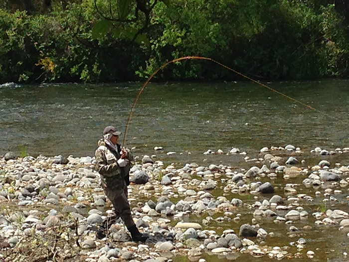 Alan trying to keep in contact with a big NZ trout.