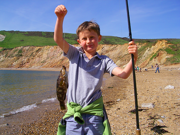 Wrasse from Worbarrow.